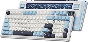 Amazon.com: KZZI K98 Wireless Mechanical Keyboard with Number Pad